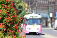 Imagine atasata: IMG_0020.JPG